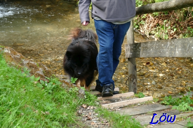 21.4.2025 - Schon wieder Wasser